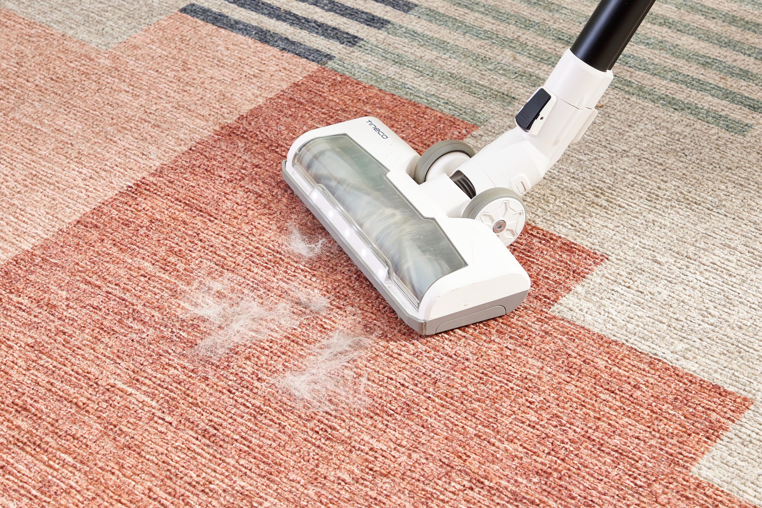 Area Rug Cleaning