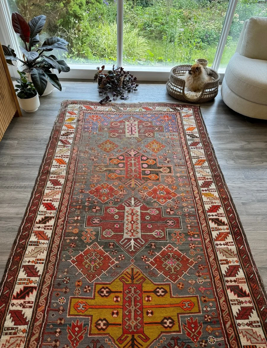 rug cleaning collection